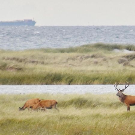 Fewo-Kramm Ostseebad Діраген Екстер'єр фото
